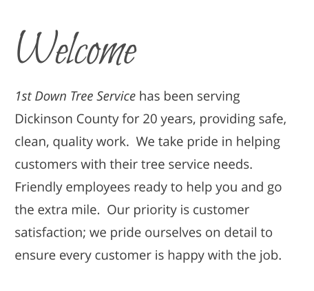 1st Down Tree Service Dickinson County MI Emergency Tree Removal