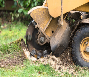 Stump Grinding Kingsford MI